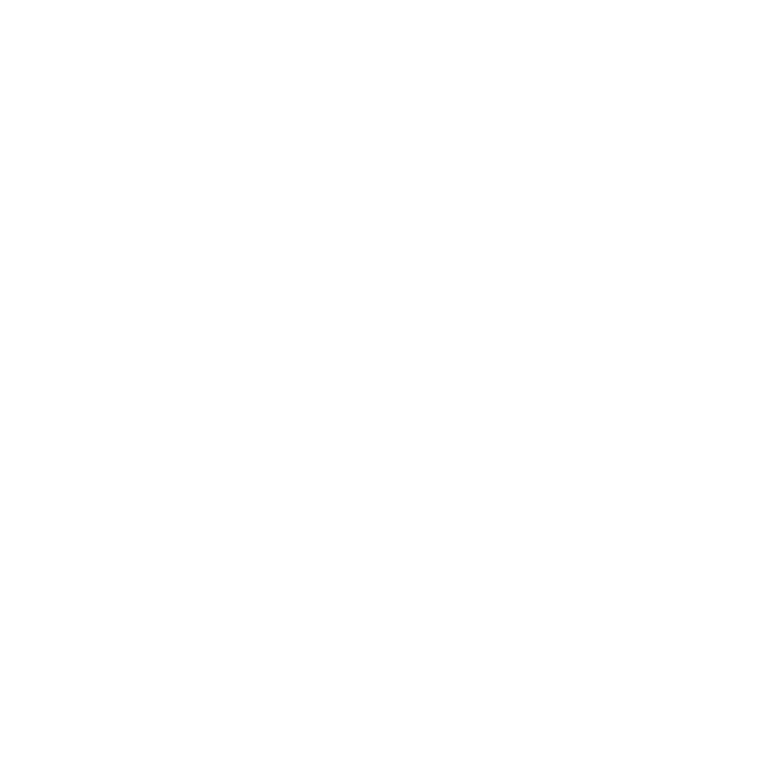 call-it-spring-logo-w